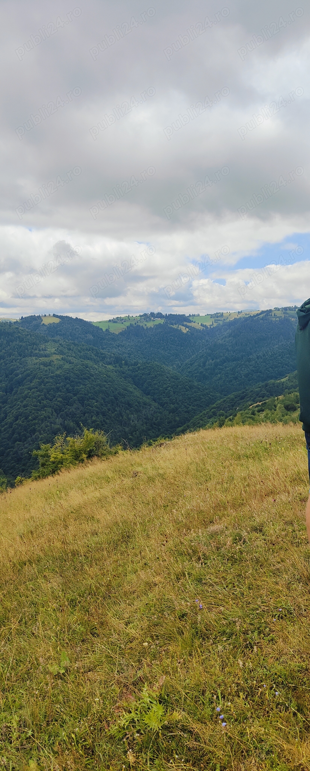 Teren extravilan Marisel Cluj Teren extravilan Marisel Cluj