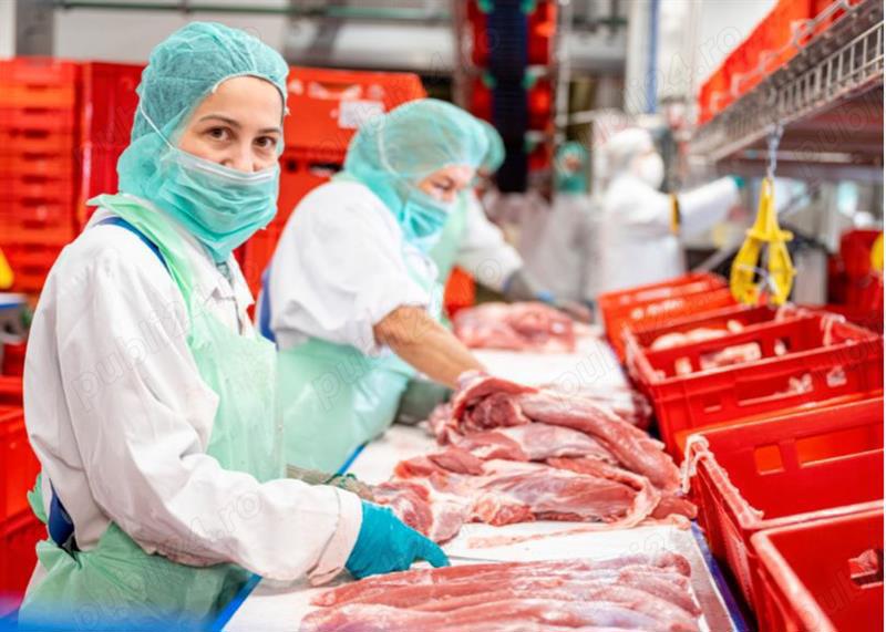 Cautam personal pentru un abator modern din Germania