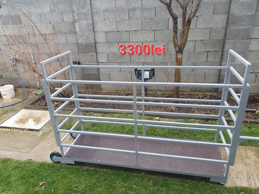 Cantar pentru animale 