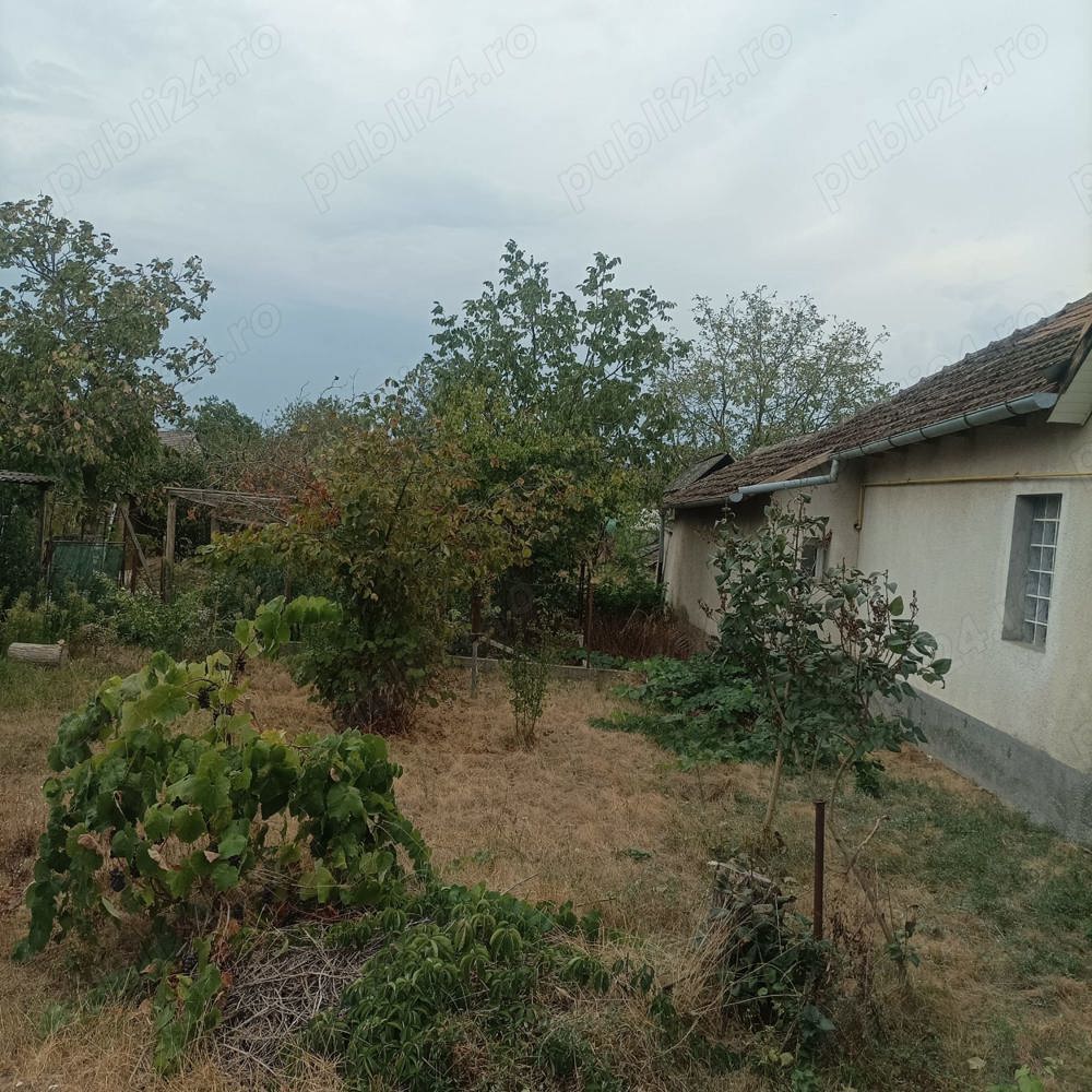 Teren de vanzare
