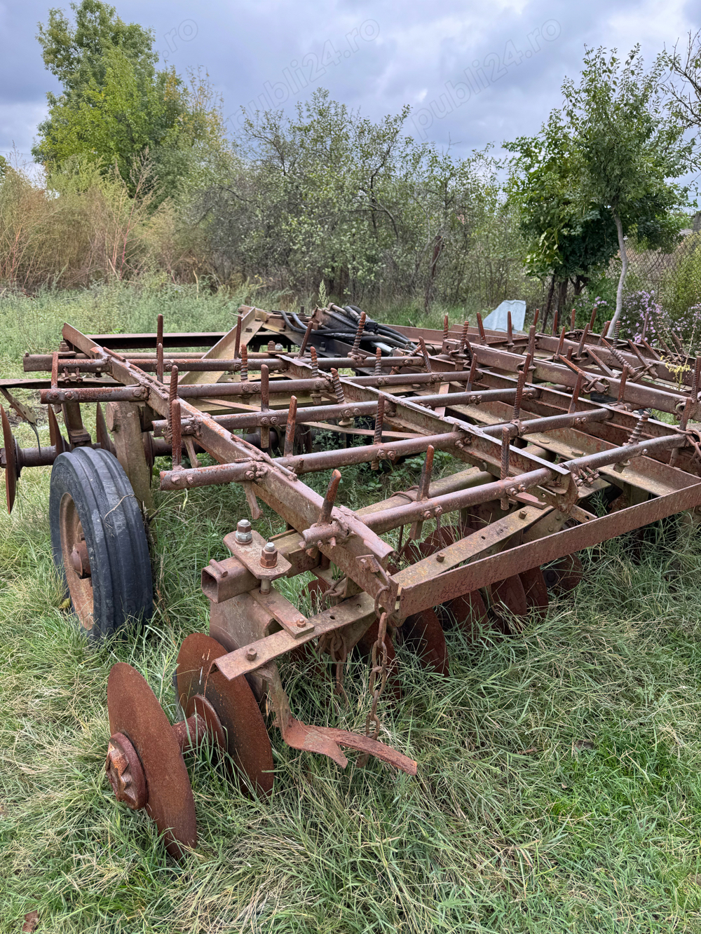 Vand grapa cu discuri