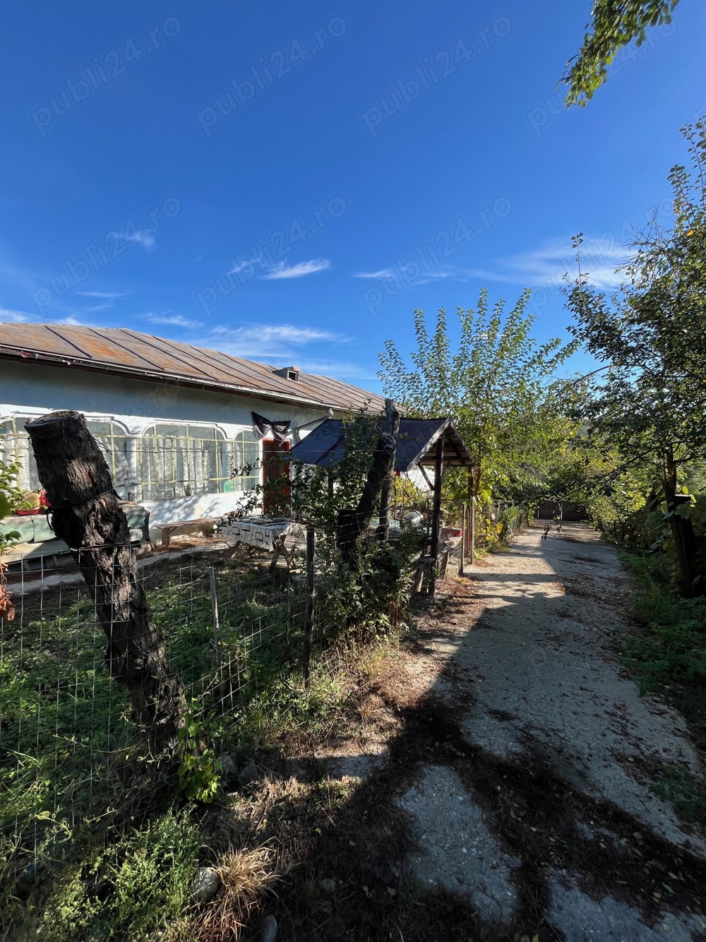 Casa veche cu teren generos com. Rosiile, Valcea