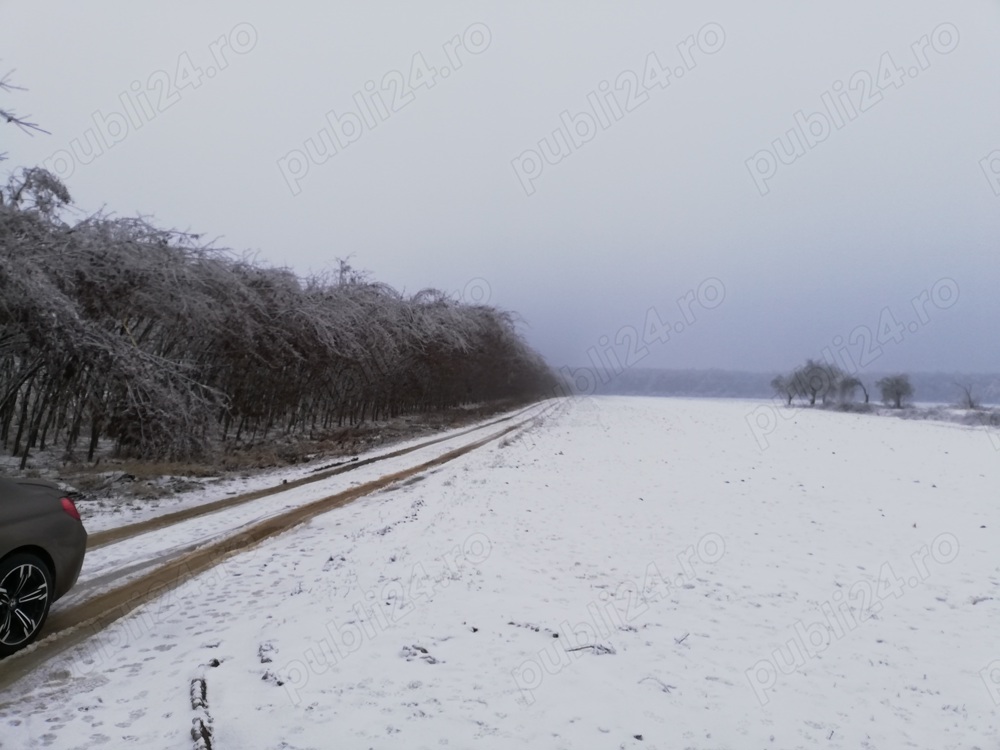 Vanzare teren intravilan Lipa-Gruiu (Ilfov), parcelat