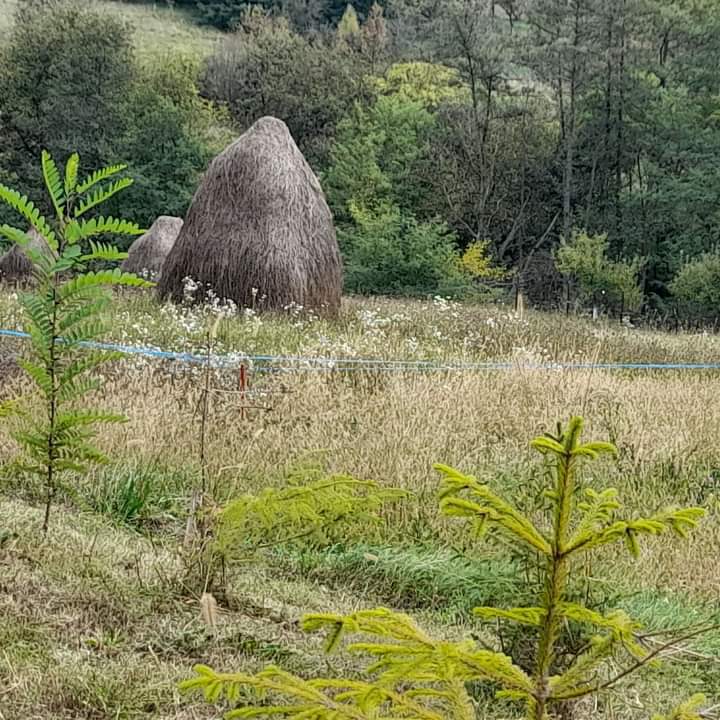 Cabană  la munte jud. Argeș  utilități 