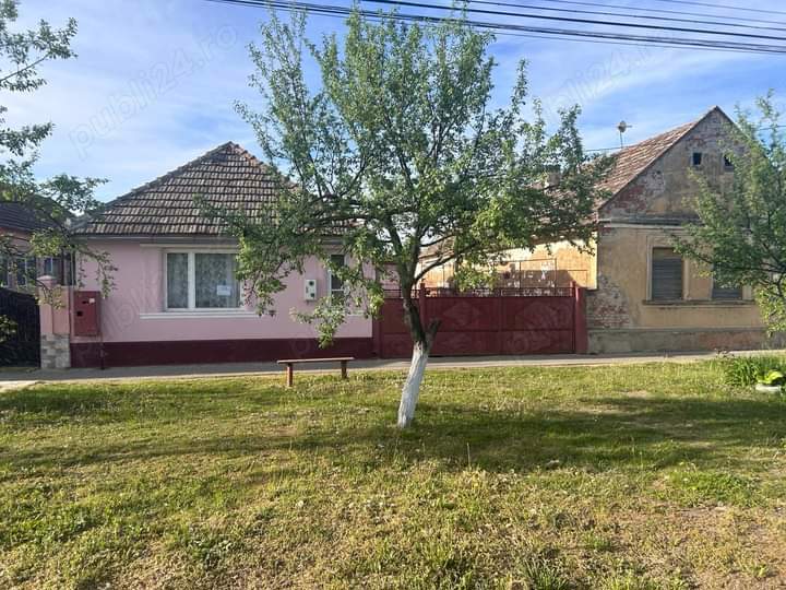 vand casa in Zadareni nr 455