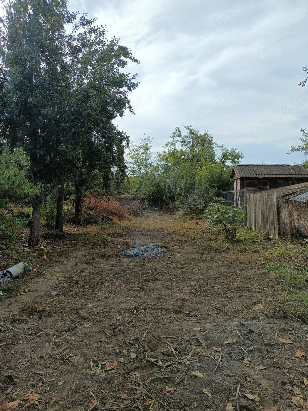 Vand teren casa Zimnicea, Teleorman