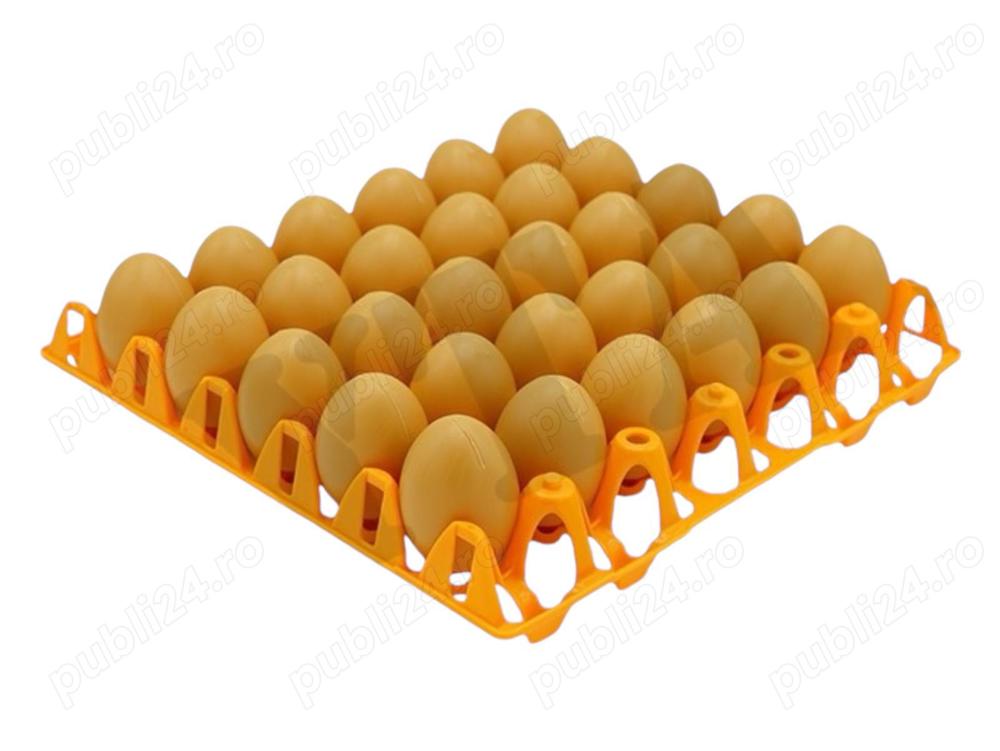 Cofeaj din plastic pentru oua 30oua cofraj Cofeaj din plastic pentru oua 30oua cofraj