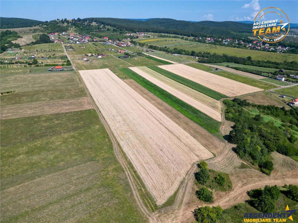 FILM!Parcele extravilan, transferabile in intravilan, Sancraiu, Covasna