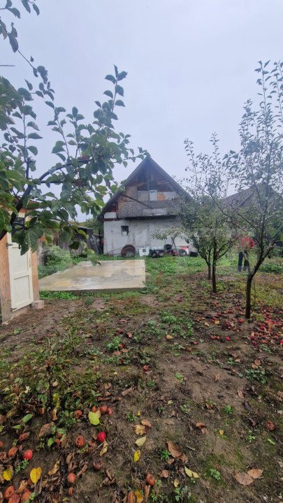 Casa in inima Brasovului sub munti, 1000 mp teren si  livada , 4 camere.