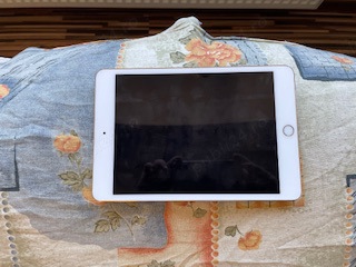 Tableta iPad mini 4 16Gb