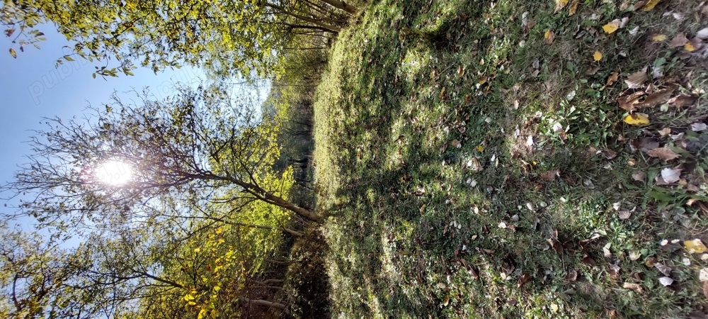 Teren langa rau Doftana 2700 mp , 1 km de pastravaria Doftana,  4 km de baraj Paltinu