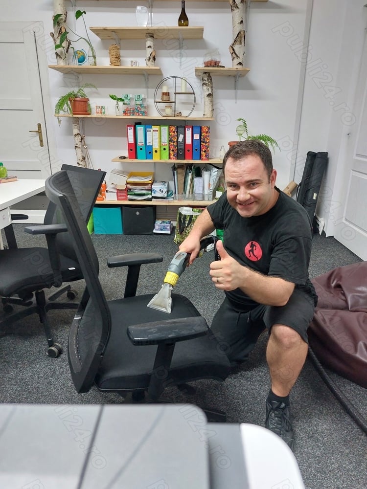 Curățare profesională tapițerii la domiciliu