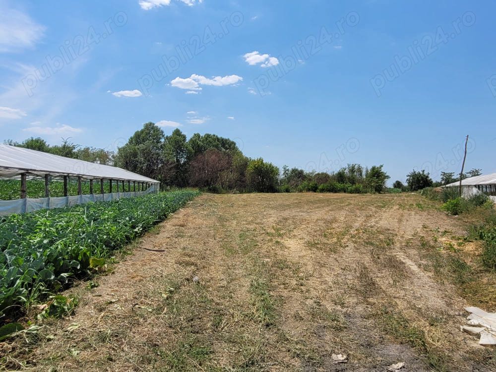 Teren de vanzare intravilan Umbraresti