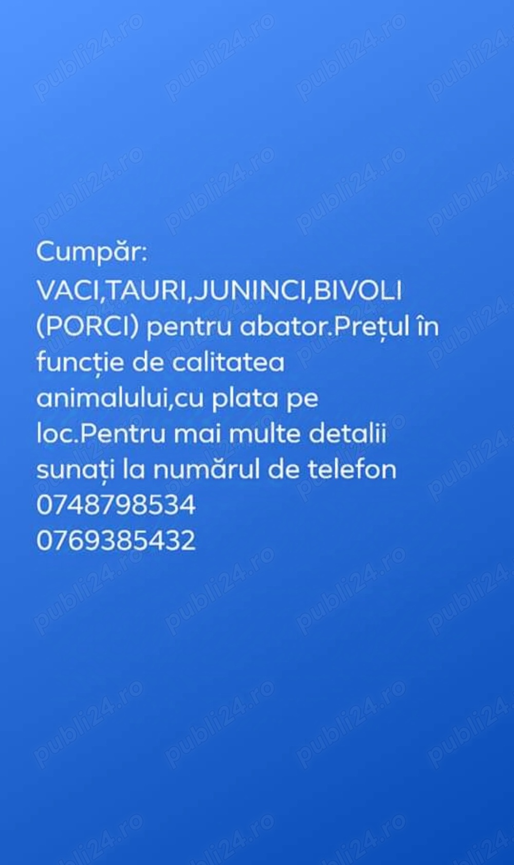 Achiziții animale reformă pentru abator!! Achiziții animale reformă pentru abator!!
