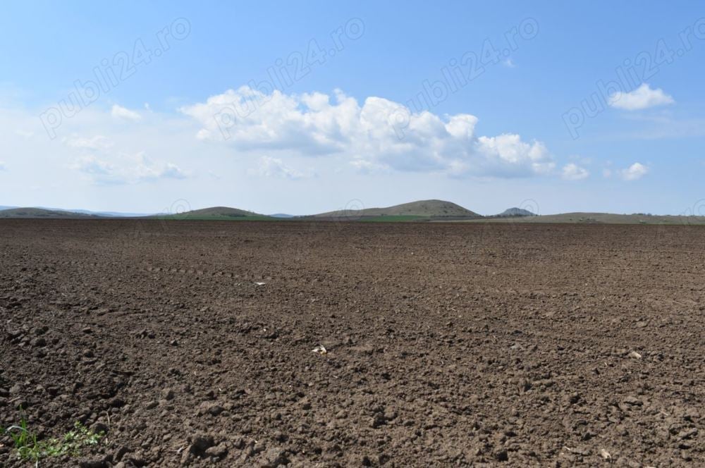  Teren agricol com Movila jud Ialomita 4,25 ha comasat 