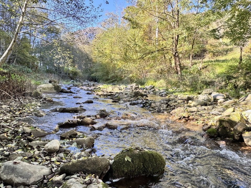 Casă de Vis - Ideală pentru casă de vacanta sau locuinta