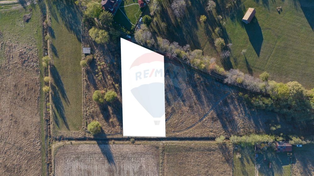 Comision 0% Teren de vânzare, zona Bran - Sohodol, 4000mp, parcelabil!