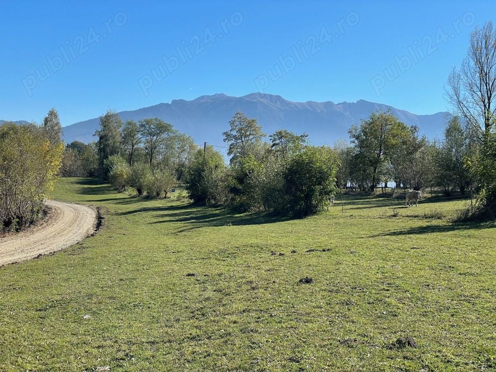 Teren intravilan zona Bran-Tohanita, judetul Brasov intre 500 si 1000 mp la 5 km de Moieciu 