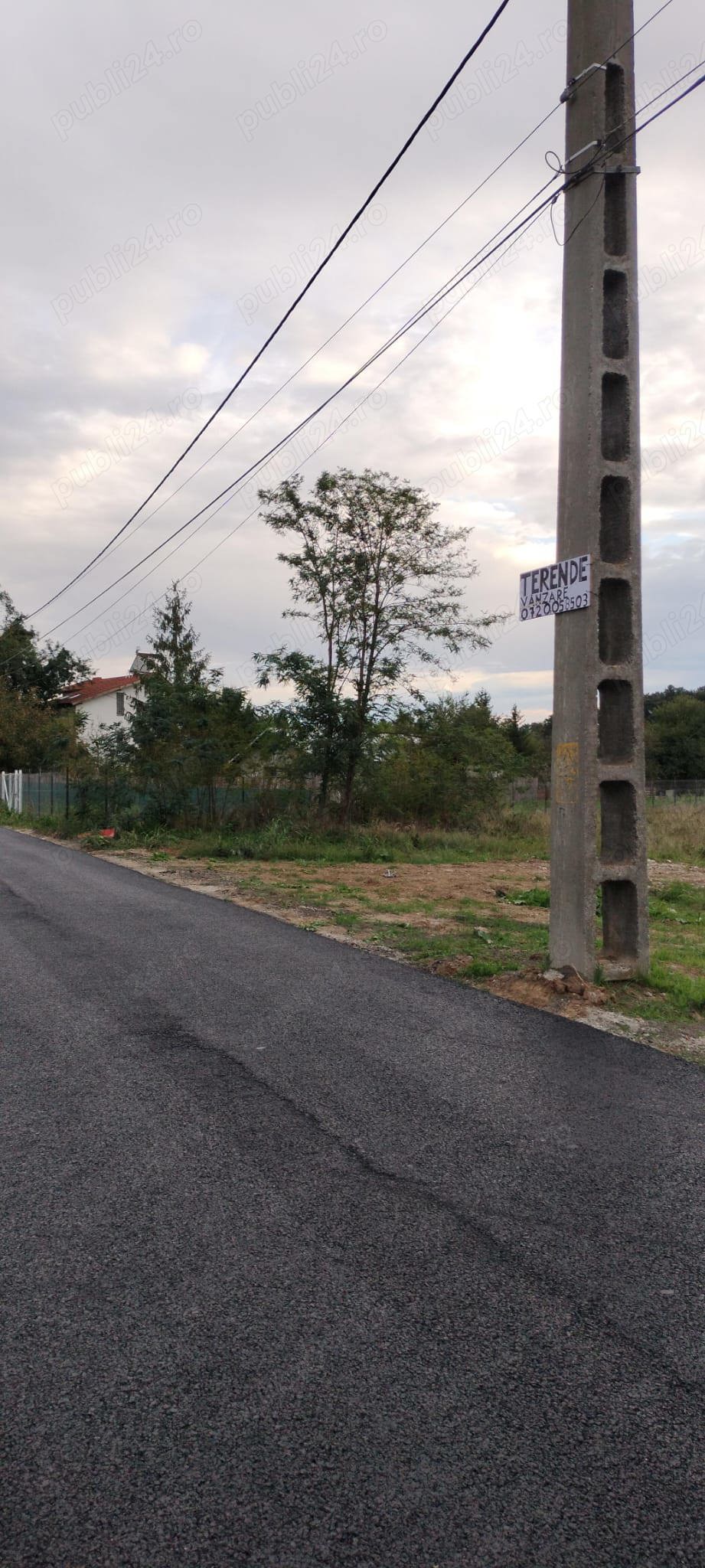 Gruiu , Santu Florești                  Loturi de Teren de vânzare  Intravilan     Gruiu , Santu Florești                  Loturi de Teren de vânzare  Intravilan