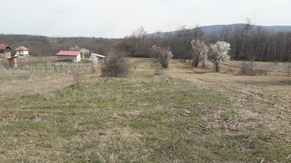 Vand   Schimb teren Barsesti  Budesti