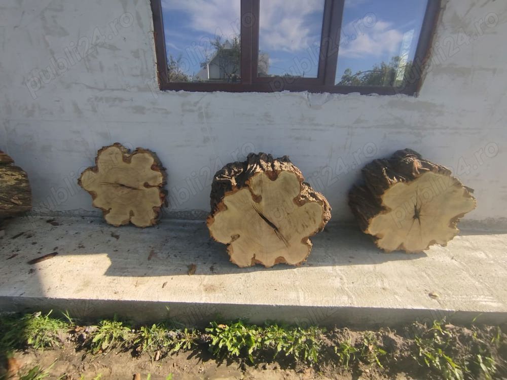 Rondele din lemn, dimensiuni mari