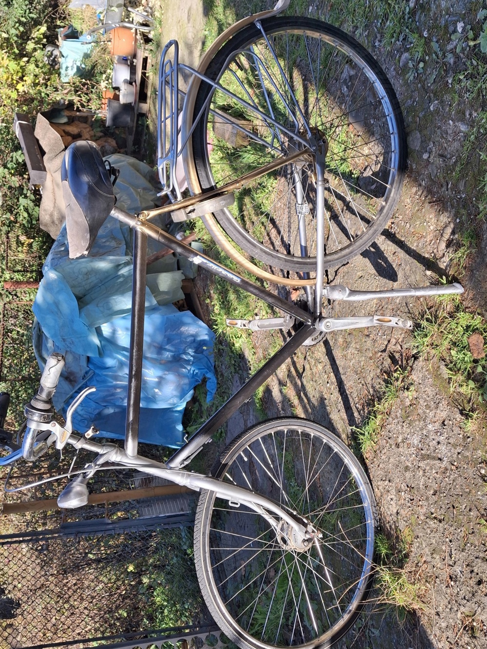 Vand bicicleta Gazelle