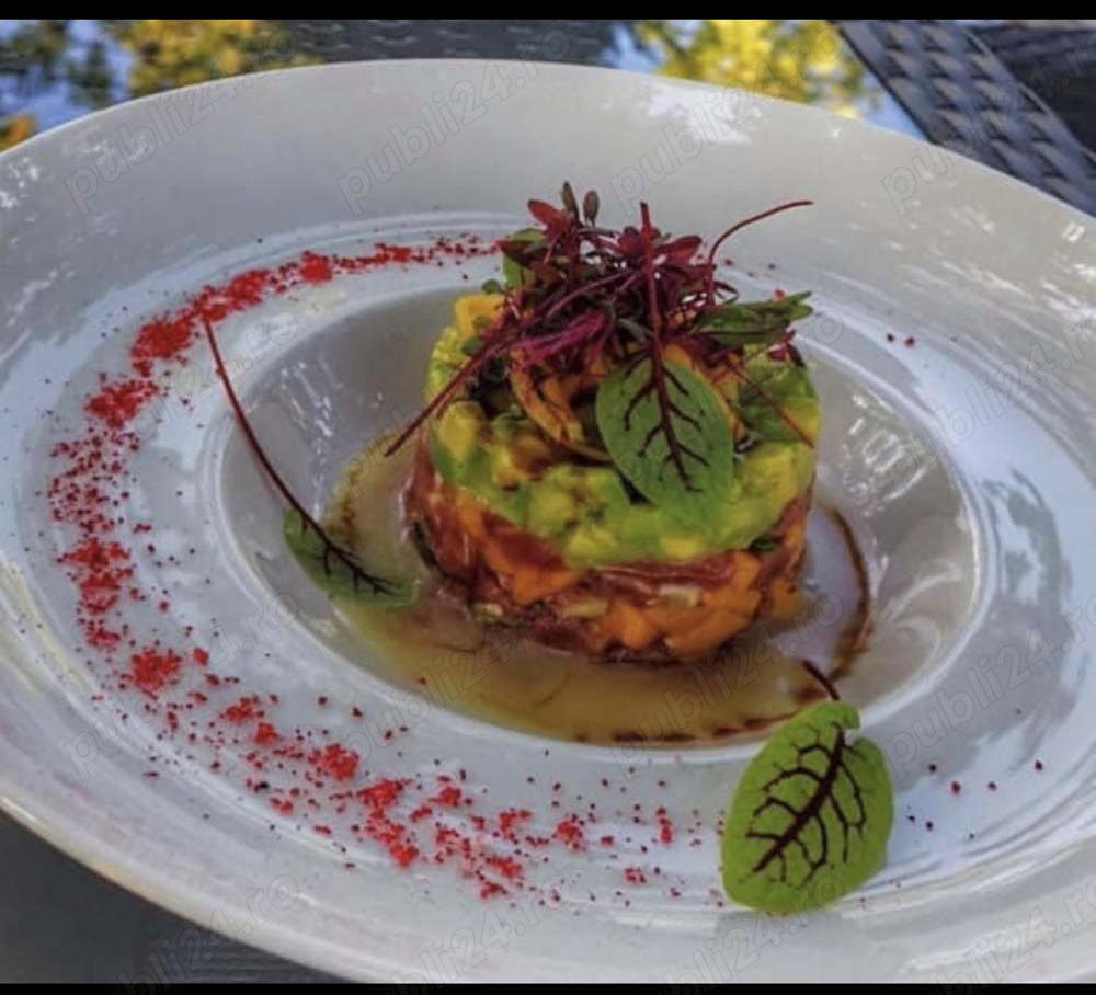 Bucatar profesionist