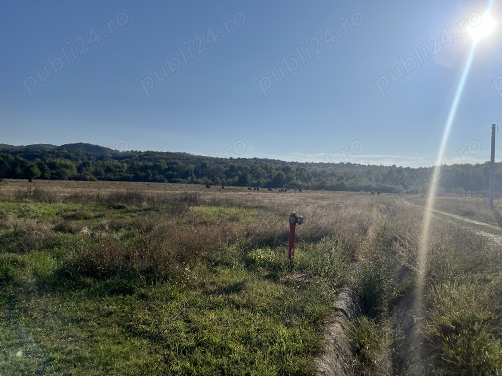 Teren intravilan de vânzare 