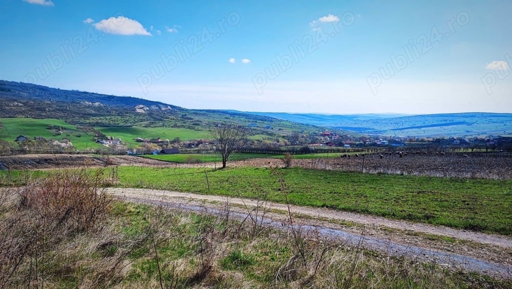 Teren de vânzare în Valea Fânațelor   700 mp, vedere panoramică