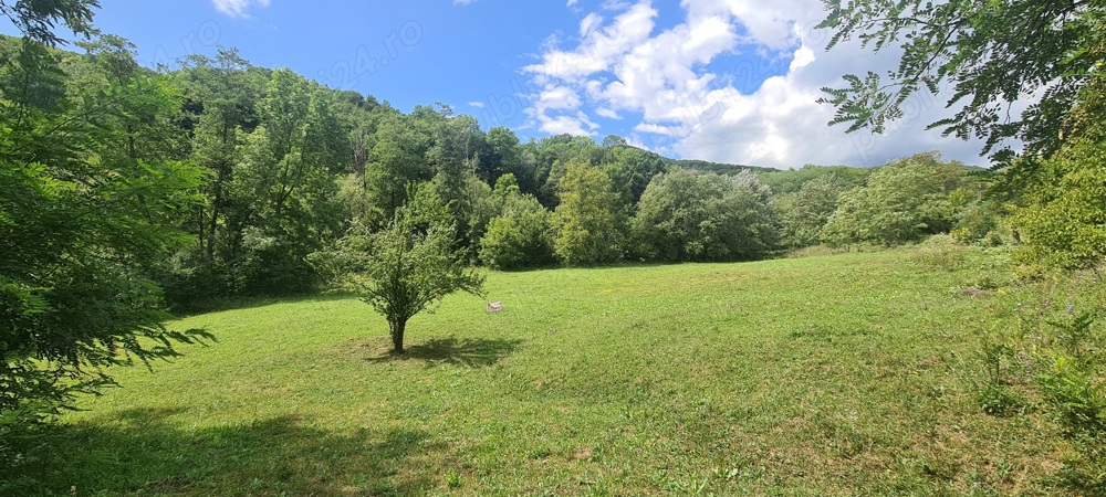 Teren intravilan Provita de jos