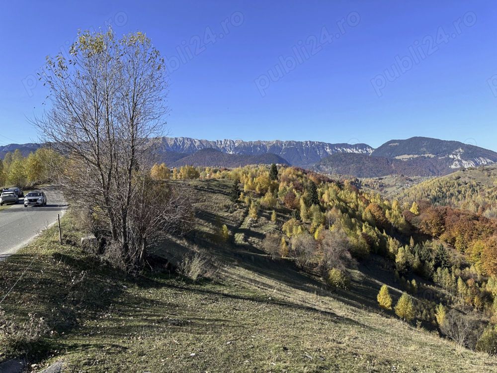 Teren 10000   mp in zona Pestera-Moieciu, la 5 km de Bran 