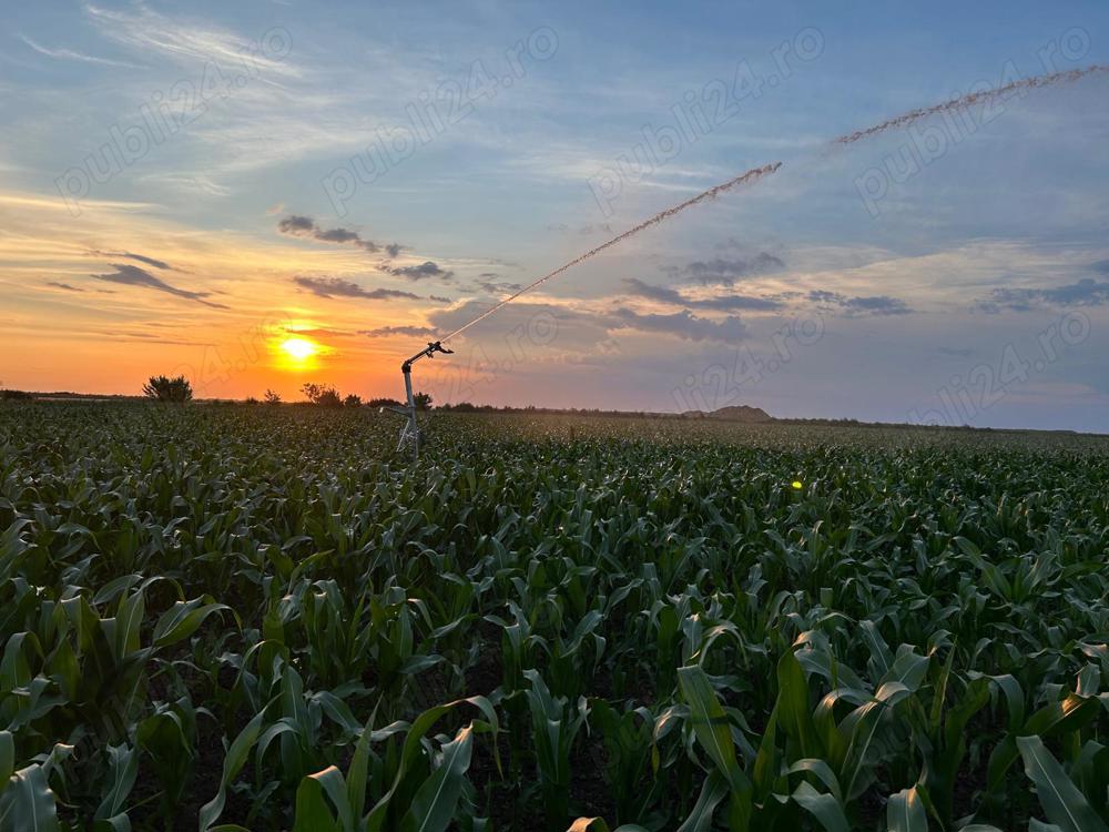 Arendez teren agricol