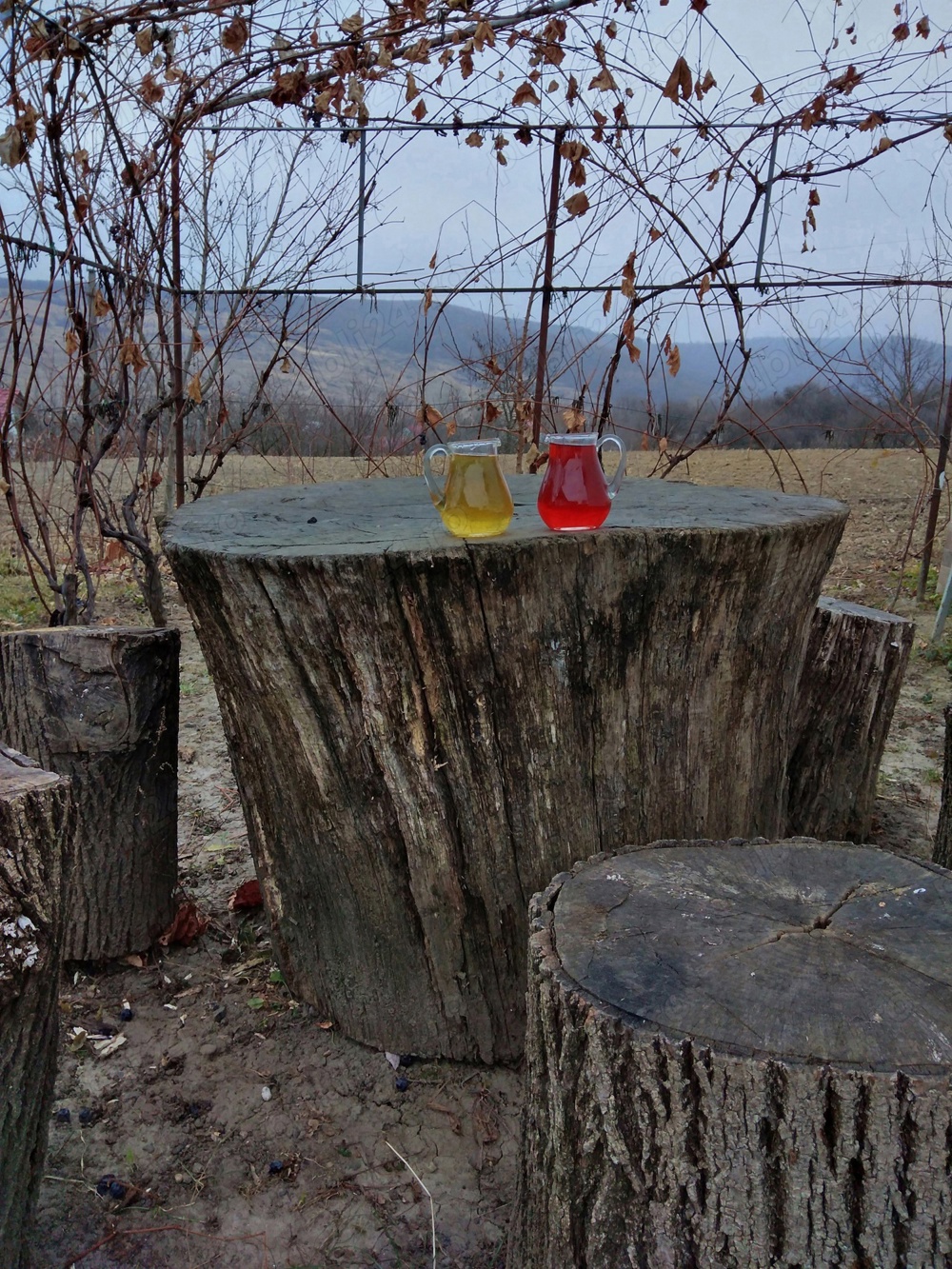 Vând vin fragă albă și căpșunică 