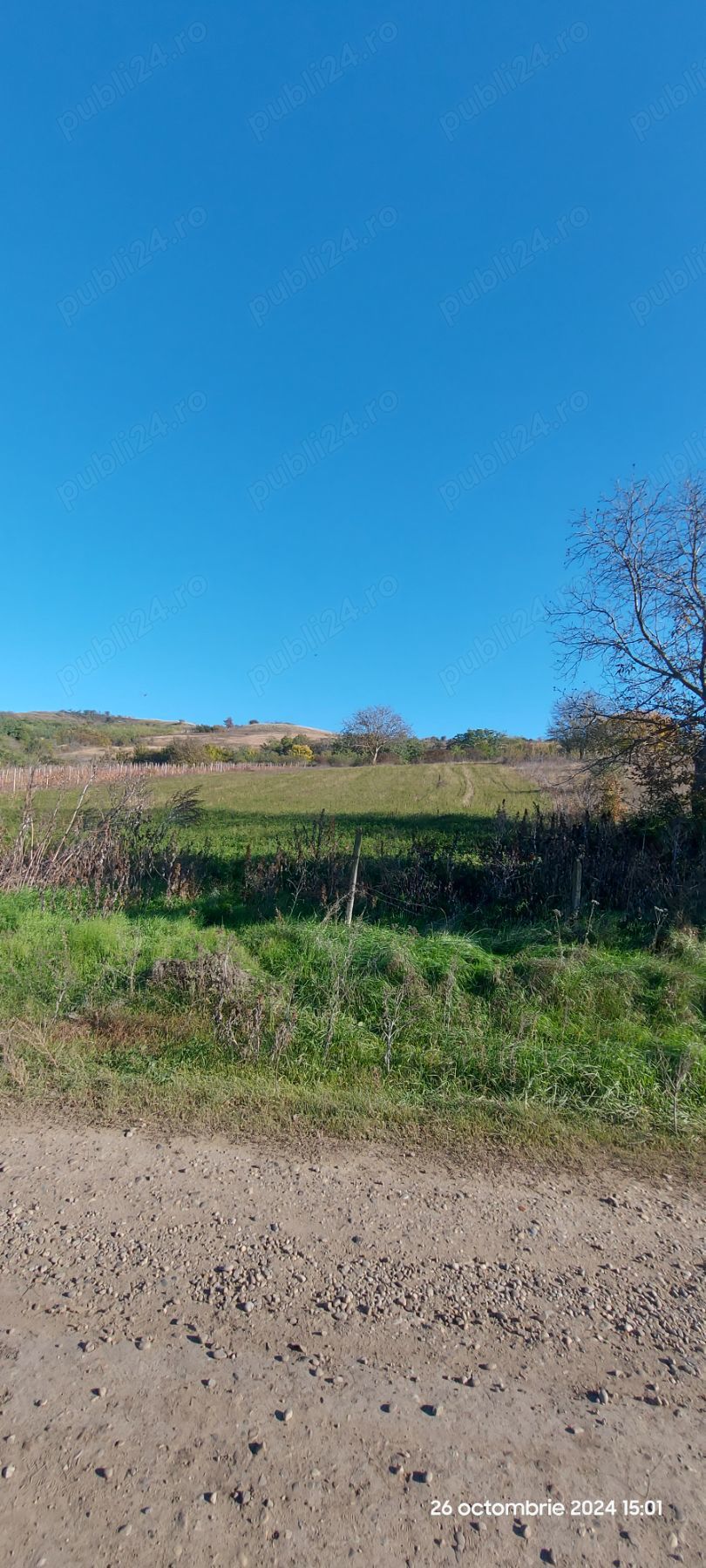 De vânzare teren intravilan   Muntenii de Sus, la 8 km de centrul Vasluiului