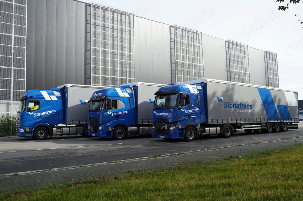 Sofer C E - fara experienta