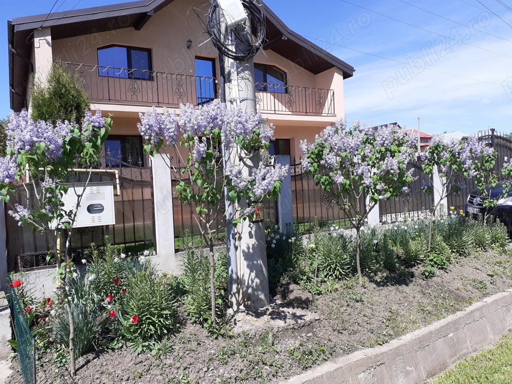 Casa în Vaslui. str. Castanilor