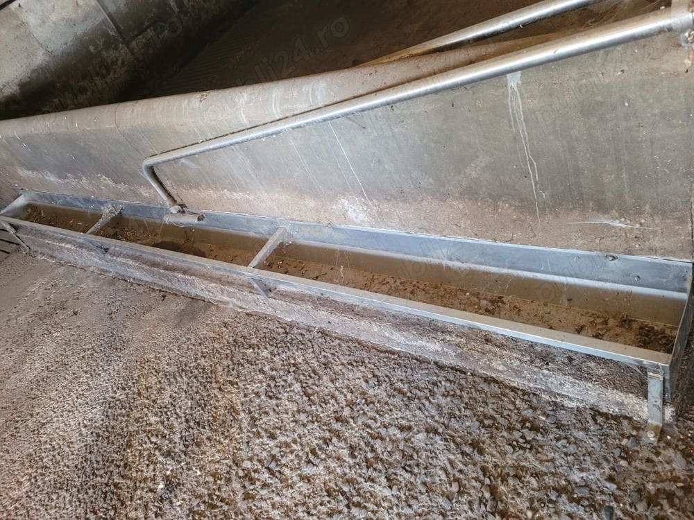 Vand valău  Vand valău