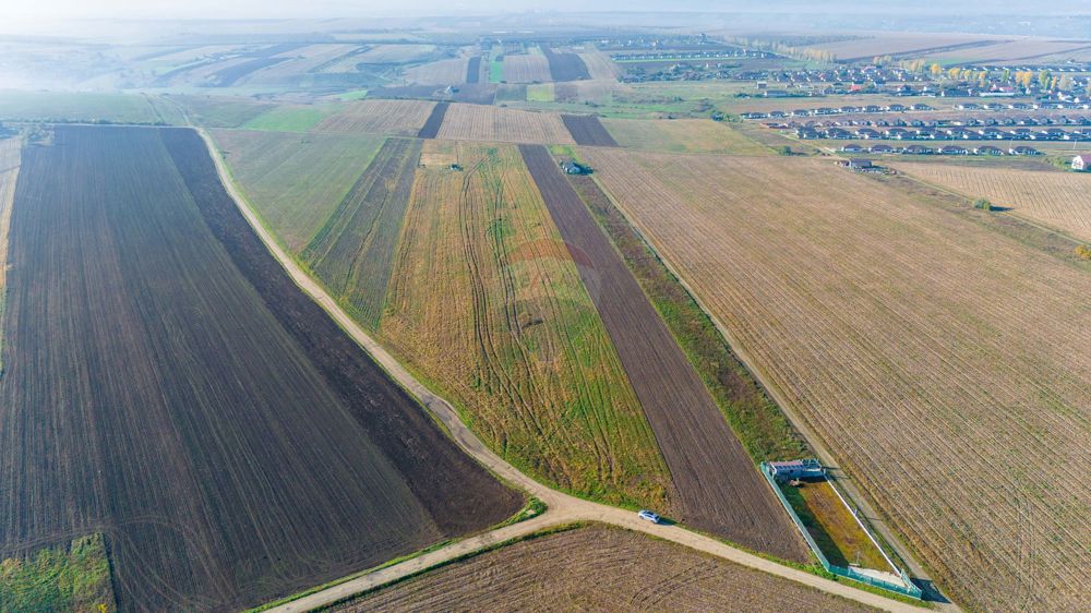 Teren 15,000mp Vorovesti / Strada Militari