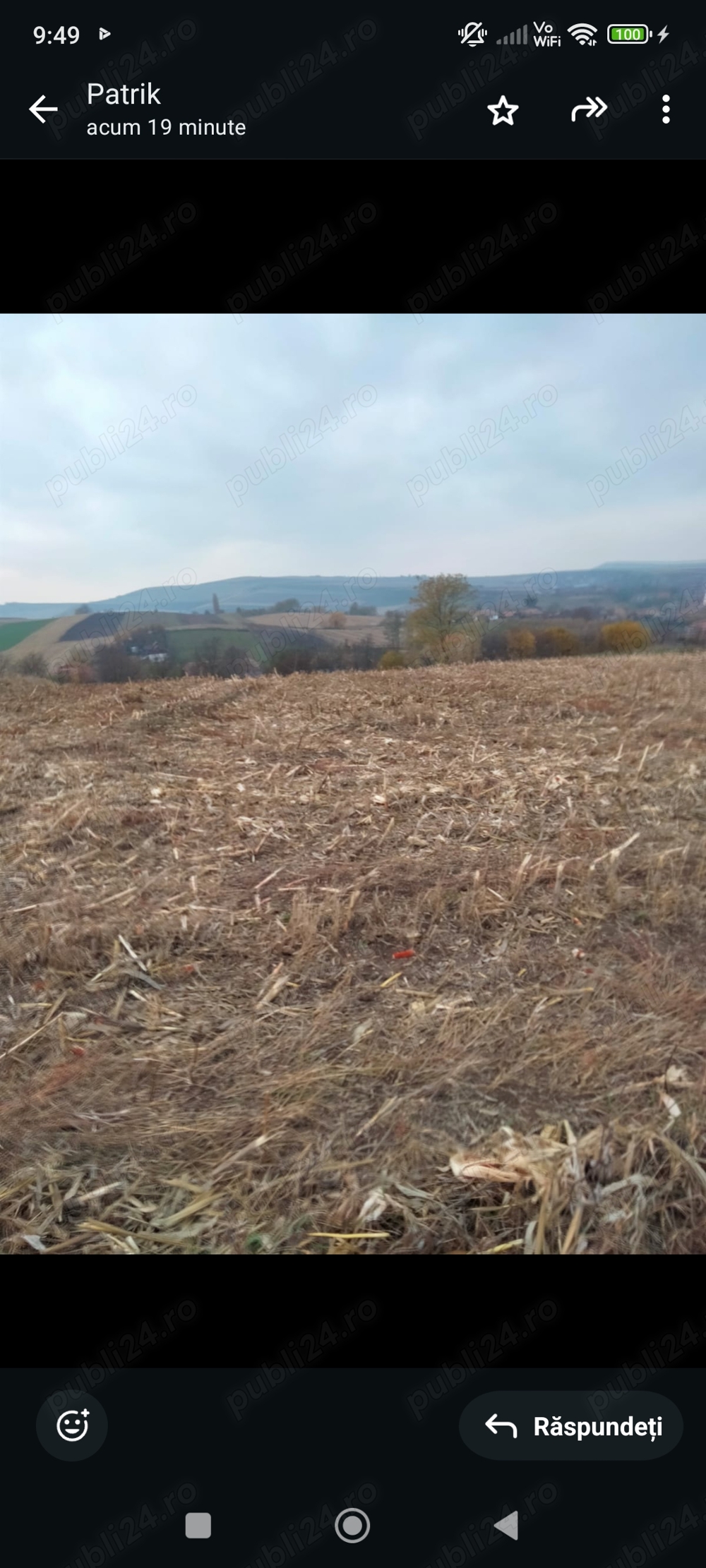 Vând teren intravilan in comuna Rîciu ,jud Mureș 