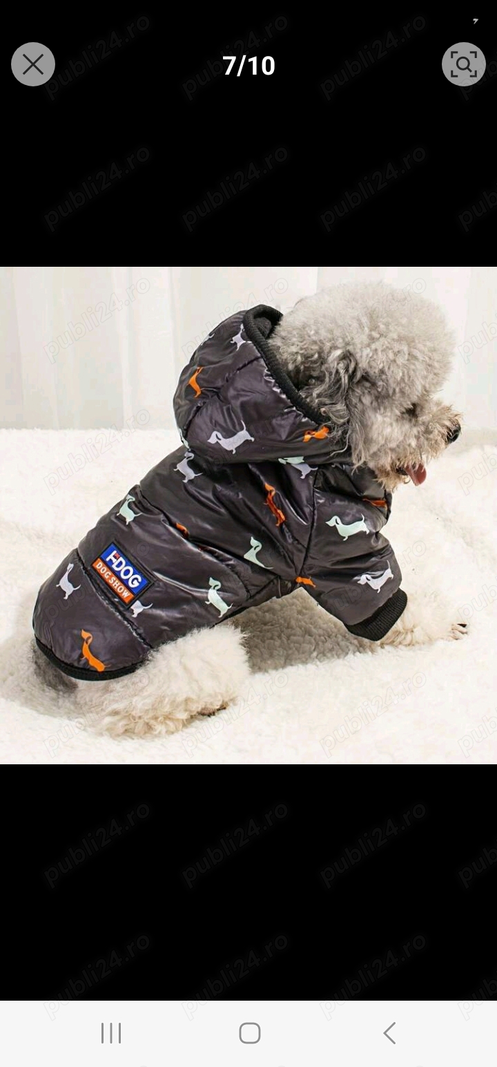 Vand hăinuța de catel 