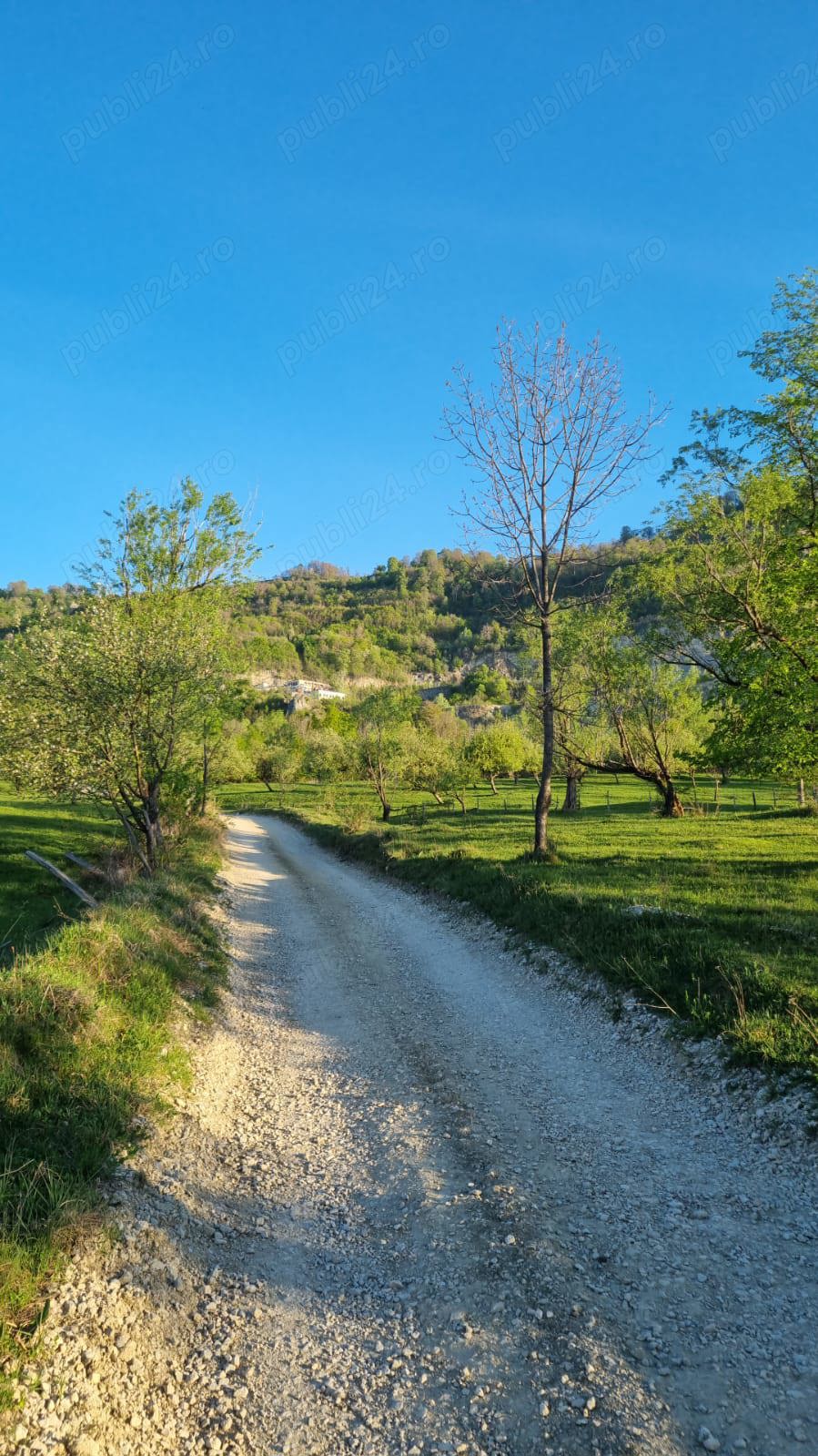 Teren intravilan extravilan de vanzare.