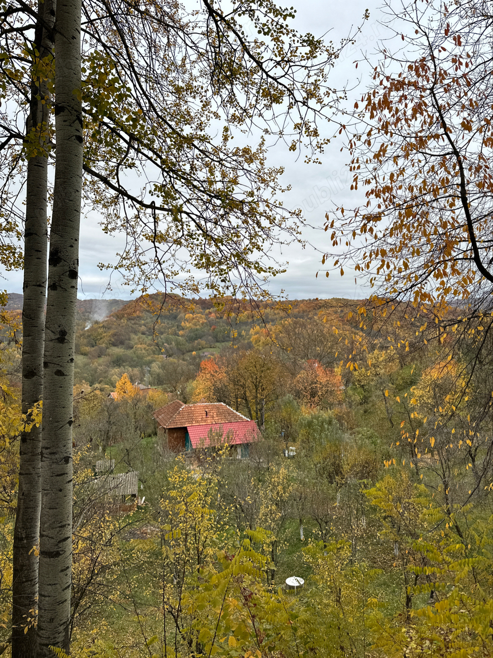 Casa la tara plus teren 3500mp