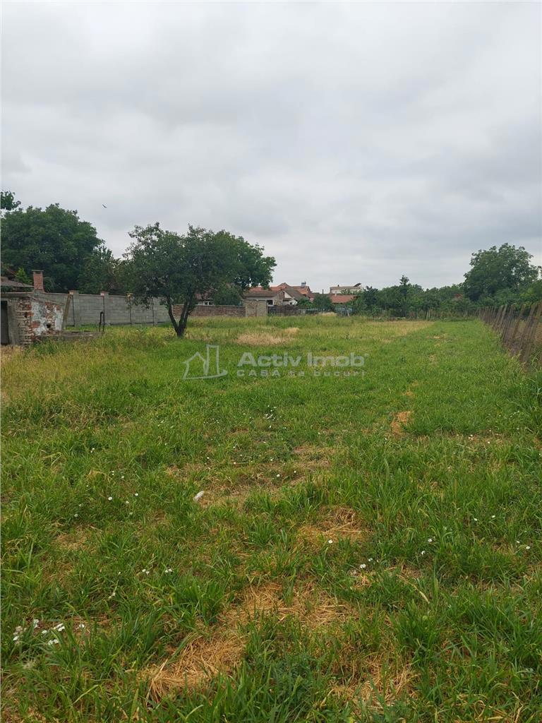 Teren intravilan - 2236 mp - zona Aradul-Nou