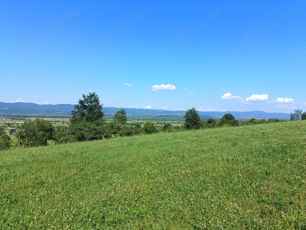 Vând teren extravilan, comuna Măgești, judetul Bihor