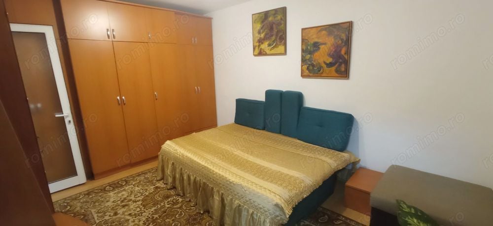 Apartament 1 camere Bucovina 