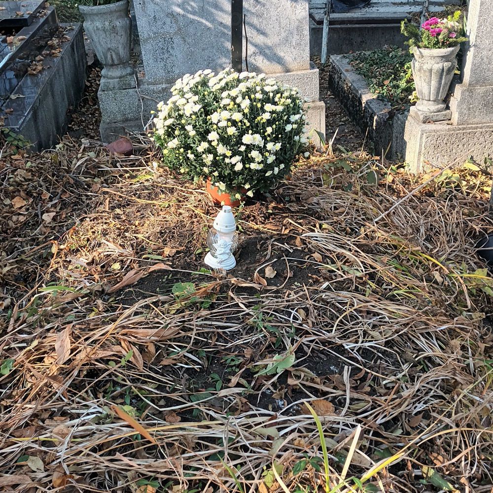 Loc de veci  în cimitirul central 
