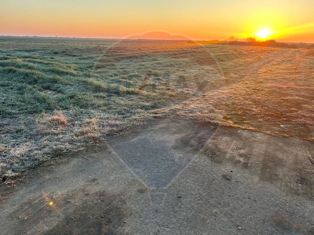 Teren 17,400mp Ciumeghiu / Drumul DN79