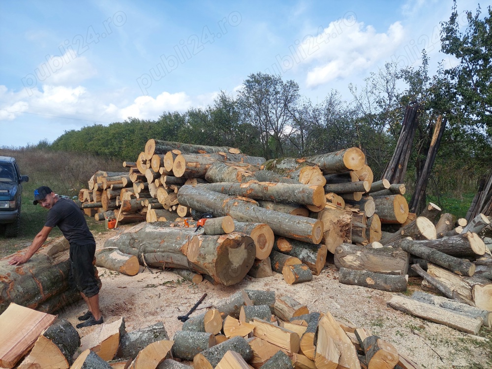 Depozit vindem lemn de foc 