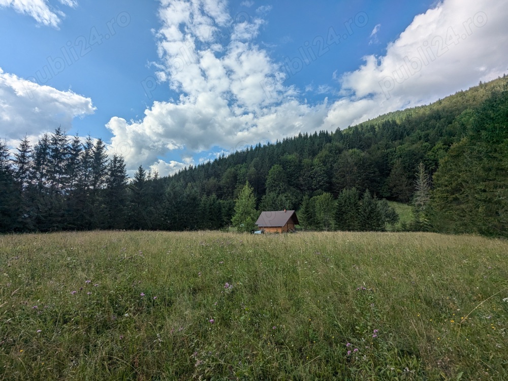 Teren intravilan 9.172 m2  + cabana 30m2 Loc Pintic Paltinu Com. Grinties