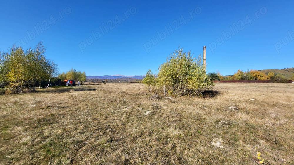 Campulung, terenuri Grui, Flamanda, Valea Romanestilor si Schitu Golesti-proprietar